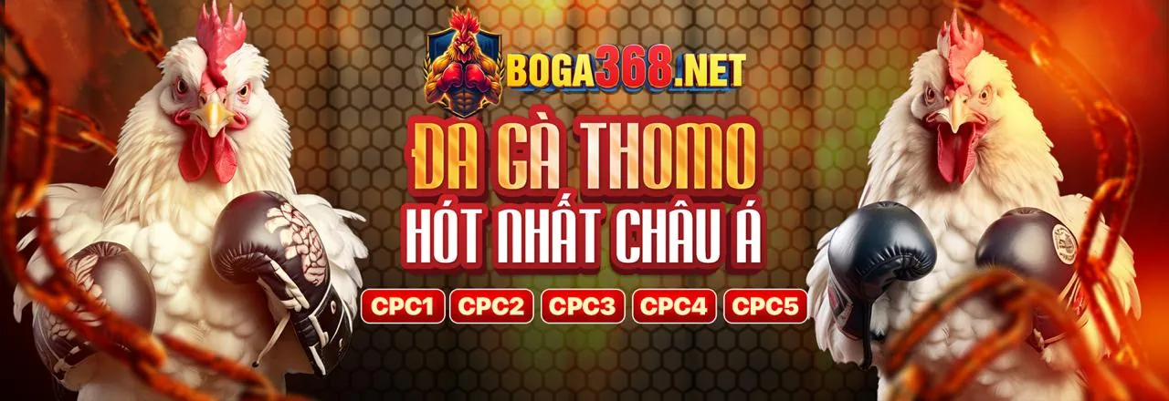 Đá gà trực tuyến 77loc nổ hũ